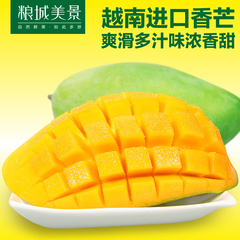 【粮城美景】越南进口青芒果4斤 玉芒香芒新鲜水果 青皮芒果包邮
