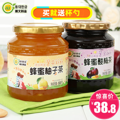 东大韩金蜂蜜柚子茶500g 酸梅茶500g 水果茶韩国风味冲饮品 包邮
