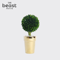 THE BEAST/野兽派 幸福树-永生花树 绿色桌面装饰
