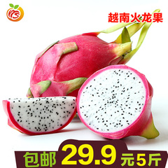 越南白心火龙果进口水果 白肉火龙果 非红心火龙果 热带水果5斤