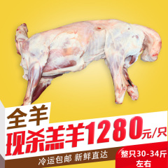 草原呐Ｄ诿晒湃羊整只羔羊白条羊15-17公斤左右生鲜锡盟羊包邮