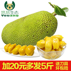 【悠昂生态果园】菠萝蜜新鲜 波罗蜜20斤包邮 海南热带水果