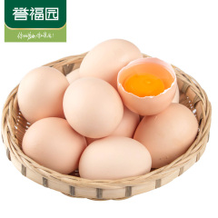 【誉福园】新鲜农家林下散养初生蛋 土鸡蛋初产蛋20枚