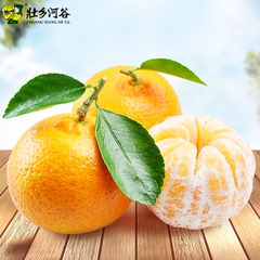 壮乡河谷西林皇帝贡柑芦柑橘子芦柑蜜桔8斤包邮特价水果新鲜柑橘