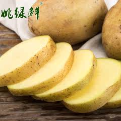 【姚绿鲜】甘肃定西土豆绿色蔬菜小土豆新鲜黄心农家5斤 包邮