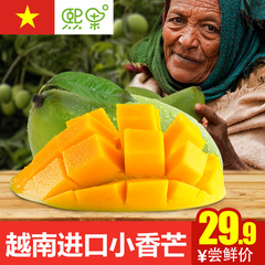 预售2月10日左右发货熙果越南进口青芒果4斤包邮芒果新鲜水果青皮