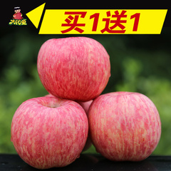 太阳果 小秦岭高山红富士苹果5斤新鲜吃的水果批发平果批发送5斤
