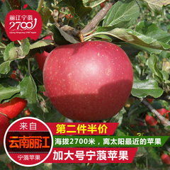 新鲜苹果水果 云南特产吃的 丽江宁蒗2700 红富士5-6斤超大苹果