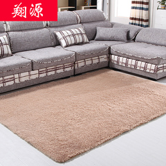 正品丝毛加厚地毯卧室客厅茶几床边毯 郊游垫满铺欧式地毯定制