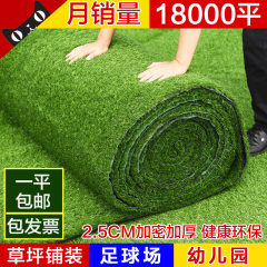 仿真草坪人造草坪加密塑料绿色植物墙草坪地毯幼儿园阳台学校草坪