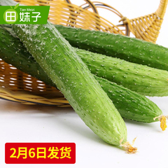 【田妹子】新鲜蔬菜水果刺黄瓜 绿色蔬菜沙拉1斤装 菜园直发