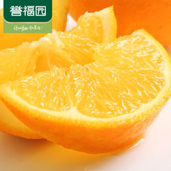 誉福园新鲜橙水果橙子 正宗秭归纽荷尔脐橙24个超大果 果径85mm 