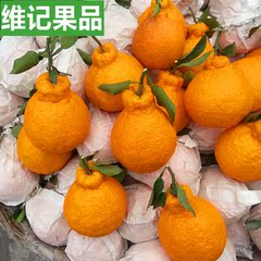 【预售】四川特产 不知火丑柑橘子 丑八怪应季新鲜水果5斤装