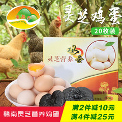【水源红】赣南橙乡灵芝鸡蛋20枚 新鲜土鸡蛋农家柴鸡蛋笨鸡蛋