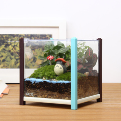 子乐湾苔藓微景观生态瓶创意办公室玻璃盆栽diy迷你植物龙猫摆件