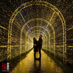 圣诞节布置霓虹灯创意新年装饰灯品LED彩灯闪灯节庆生日求婚神器
