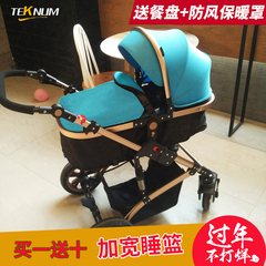 TEKNUM婴儿推车高景观可坐躺新生儿折叠四轮避震宝宝手推儿童伞车