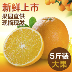【巴谷鲜】现摘新鲜脐橙5斤大果装 奉节脐橙 香甜多汁 送礼佳品