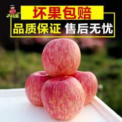太阳果 山东烟台红富士苹果10斤新鲜水果吃的批发平安果