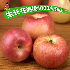 太阳果 灵宝高山野生红富士苹果送2斤共10斤批发吃的新鲜水果平果