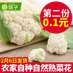 【第二份0.1元】新鲜蔬菜 农家自种新鲜白花菜500g椰花菜 菜花