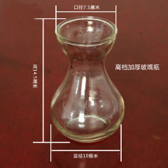 园艺用品玻璃花瓶 风信子玻璃水培瓶 水培瓶风信子专用 加厚型