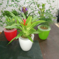 新款促销桌面常青观花赏叶绿色植物红掌 栀子花 文竹懒人盆栽