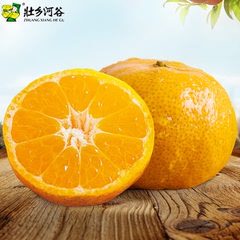 【壮乡河谷】西林沙糖桔 蜜桔小橘子8斤包邮新鲜特价水果新鲜桔子