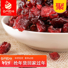 引力农场 蜜饯水果干蔓越莓干 休闲零食果干果腹小吃袋装168g