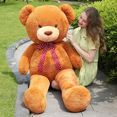 毛绒玩具泰迪熊公仔熊猫大号熊布娃娃抱枕抱抱熊节日生日礼物女生