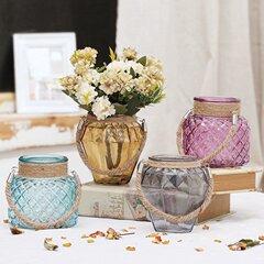 创意透明玻璃麻绳水培花瓶客厅干花假花仿真花插花器套装餐桌摆件