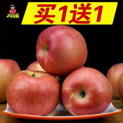 太阳果 陕西高山农家野生红富士丑苹果送1斤共5斤新鲜吃的水果