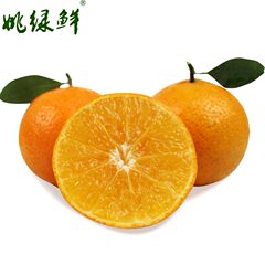 【姚绿鲜】广东德庆皇帝柑 新鲜水果柑橘 贡柑8斤 包邮