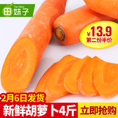第二份5折】新鲜蔬菜胡萝卜营养健康宝宝辅食4斤装小水果胡萝卜