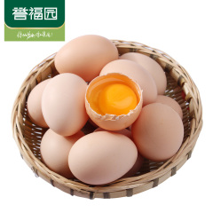 只发2天内【誉福园】橘园散养土鸡蛋40枚 新鲜鸡蛋农家柴鸡蛋