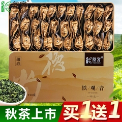 铁观音茶叶浓香型 安溪铁观音礼盒装 2016新秋茶乌龙茶兰花香250g