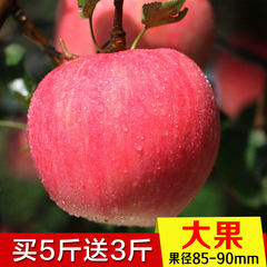 益味鲜 新鲜苹果水果陕西特产红富士精品大果85-95mm非烟台包邮