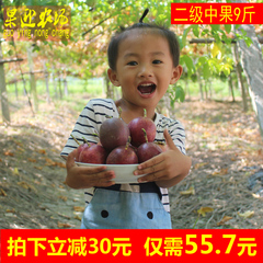 广西百香果水果新鲜热带西番莲鸡蛋果 中果9斤 UeQe6UAb