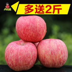 太阳果 山东烟台栖霞红富士苹果送2斤共10斤新鲜吃水果批发萍平果