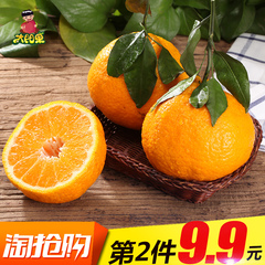 【2月8号发货】太阳果 四川蒲江3斤丑柑橘丑橘耙耙柑 新鲜水果