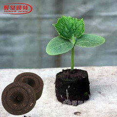 育苗块优质基质花土专业培养土压缩泥炭土种植泥土营养钵特价