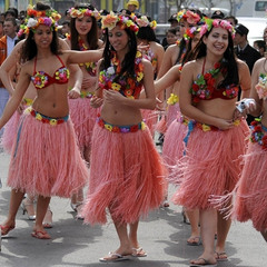 盛泉 弹性舞蹈草裙 成人夏威夷草裙舞服装 表演套装 60厘米 加厚
