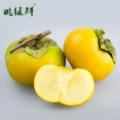 【姚绿鲜】第2件5折广西恭城新鲜甜脆硬柿子 不涩口时令水果4斤