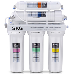【预售】SKG 4868五级净水器家用直饮厨房自来水过滤器超滤净水机