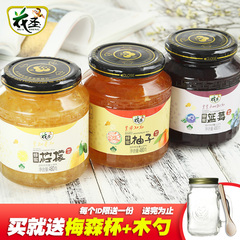 【预售】花圣蜂蜜柚子茶 蓝莓茶 柠檬茶 韩国风味果味水果茶冲饮