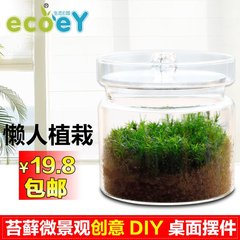 ECOEY 苔藓微景观生态瓶日式DIY植物创意绿植盆栽桌面微景观摆件