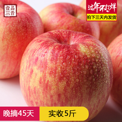 【一品三晋】新鲜苹果水果红富士苹果山西吉县苹果Ⅰ级果5斤包邮