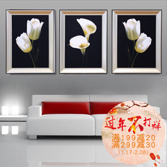 沙发背景墙装饰画有框画现代挂画创意花卉卧室客厅墙画三联画ZA