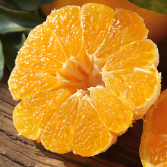 王小二 丑柑橘丑橘子丑柑耙耙柑桔子 橘子水果新鲜包邮批发