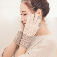 名简触屏手套女冬季保暖羊毛女士长款手臂套韩版针织麻花五指手套